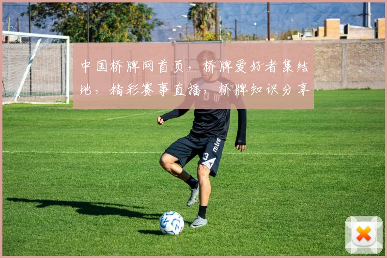 中国桥牌网首页，桥牌爱好者集结地，精彩赛事直播，桥牌知识分享，一网打尽